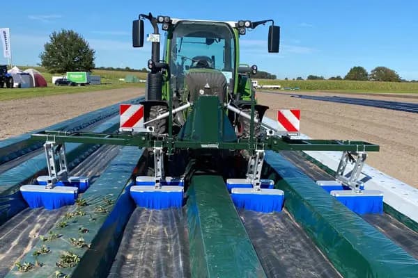 Strawberry brush to keep the rows clean