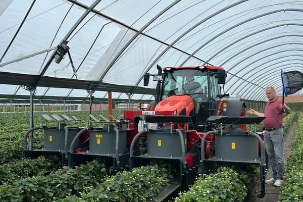 The insect vacuum in the strawberry crop