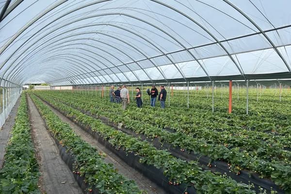 View through the polytunnel during the demonstration