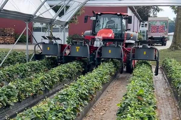 Insect vacuum in field use – view from the front