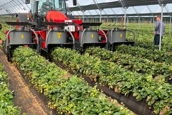 Insect vacuum in field use – driving through the rows