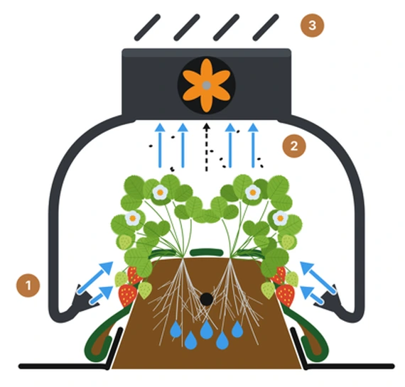 How the VENTURO works: 1. Air flows in from diagonally below, past the fruit and into the crop. 2. The insects are startled and sucked upwards. 3. The angled plates above do the rest.