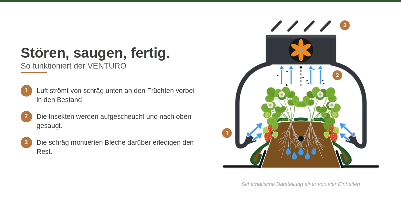Funktionsprinzip des VENTURO: 1. Luft strömt von schräg unten an den Früchten vorbei in den Bestand. 2. Die Insekten werden aufgescheucht und nach oben gesaugt. 3. Die schräg montierten Bleche darüber erledigen den Rest.